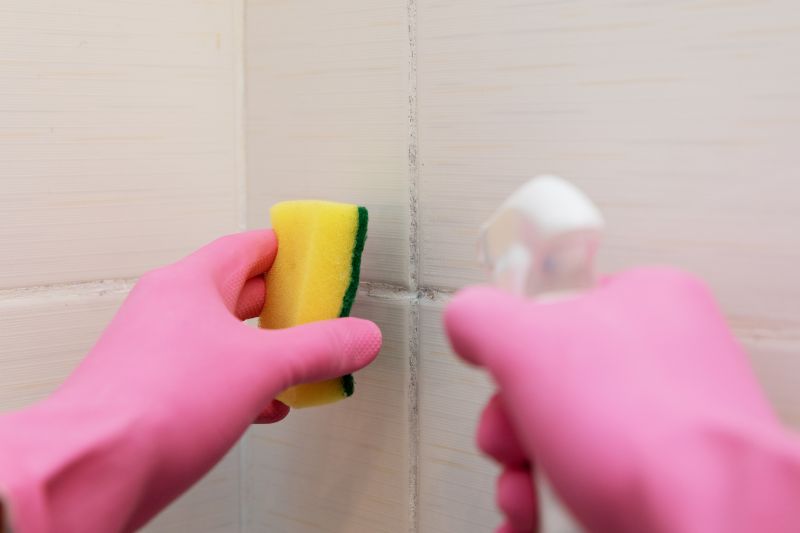 Professional Grout Cleaning